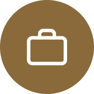 Professional Services Icon