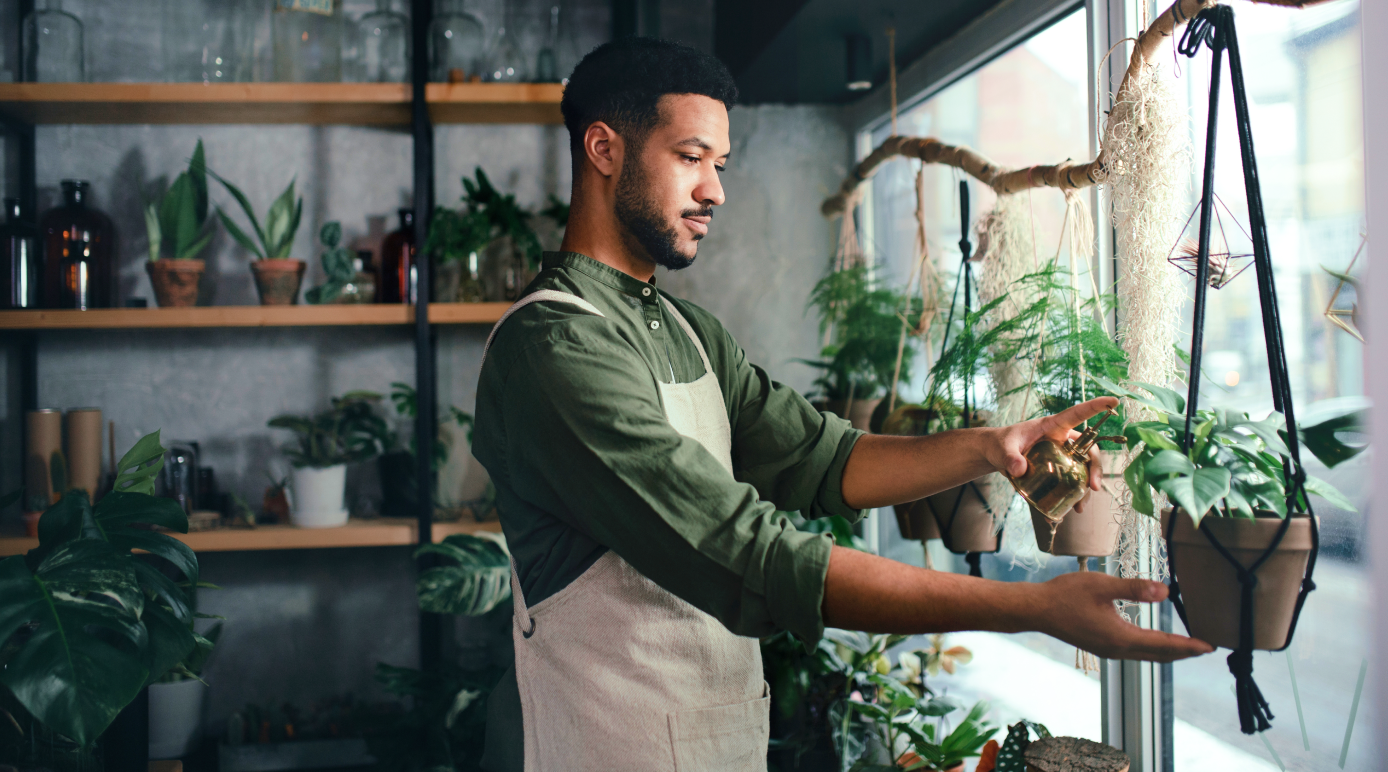 Plant shop